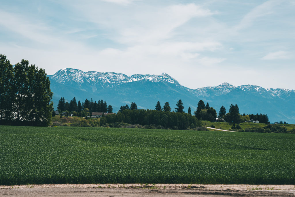 Montford Kalispell Townhomes 10