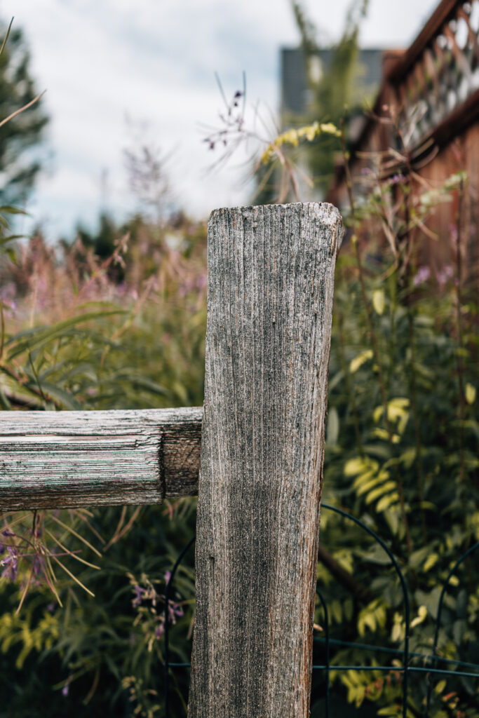 Sony RX1R III Sample Photos: Real-World Image Quality Gallery 30 250803 RX1RIII 3 1