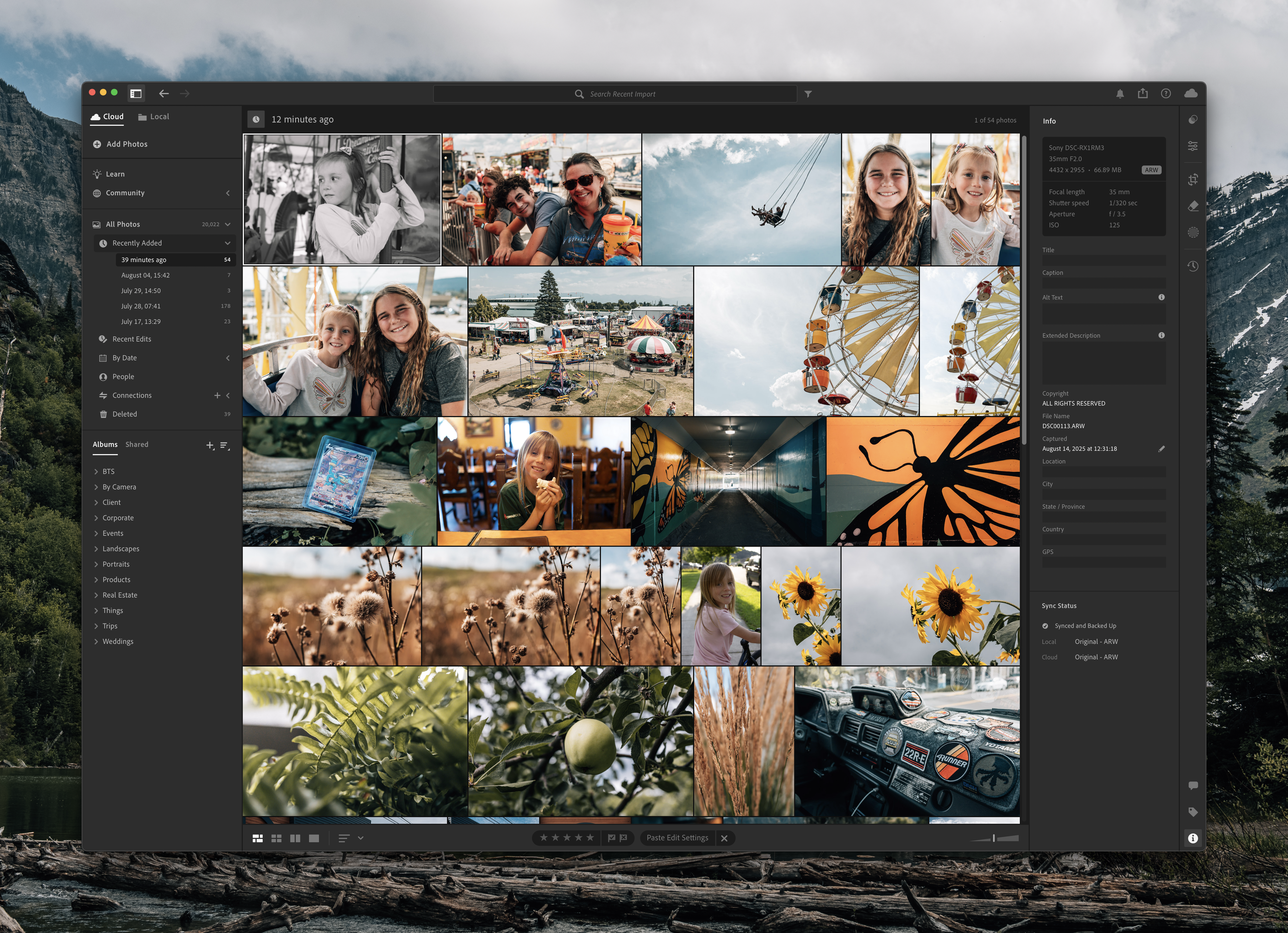 Two Weeks Daily: The RX1R III is Changing How I See (But Not Without Compromises) 2 Adobe Lightroom RX1R III Support