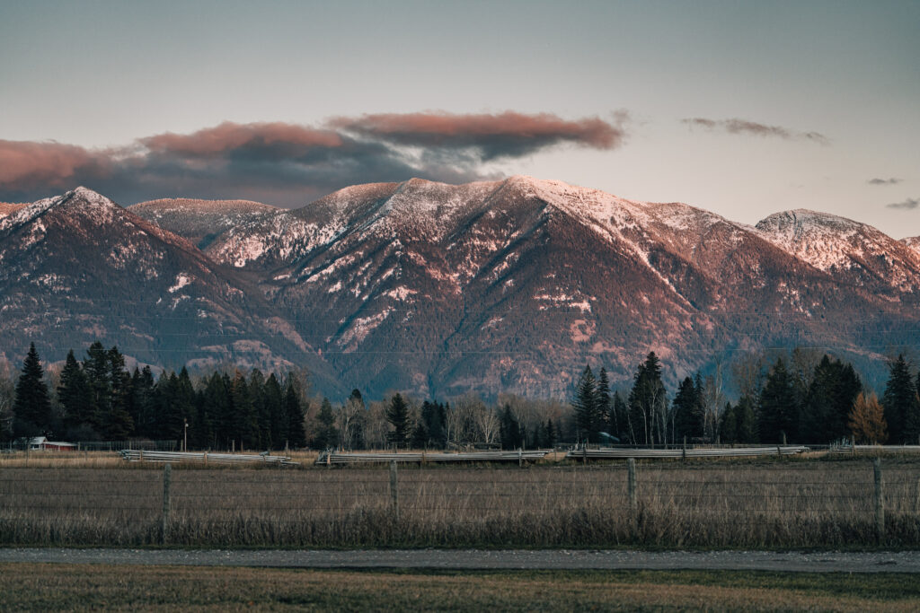 Sony a7cR Sample Photos: Real-World Image Gallery 19 Sony a7cR Sample 19