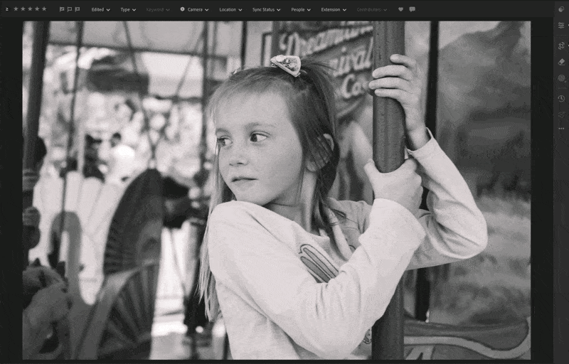 Sony RX1R III Lightroom Crop