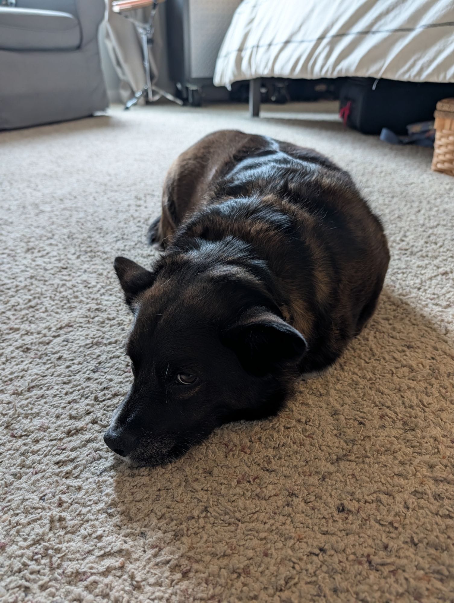 Google Pixel 10 Pro XL Camera Samples Gallery - Jerad Hill Photographer