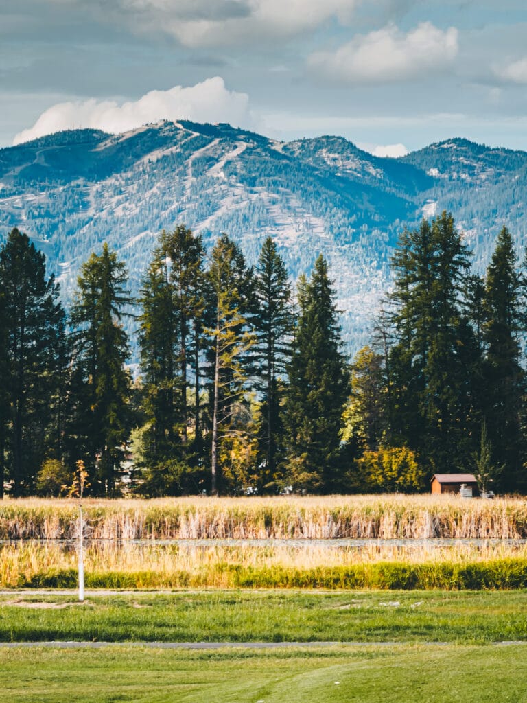 iPhone 17 Pro Max Sample Image - 1