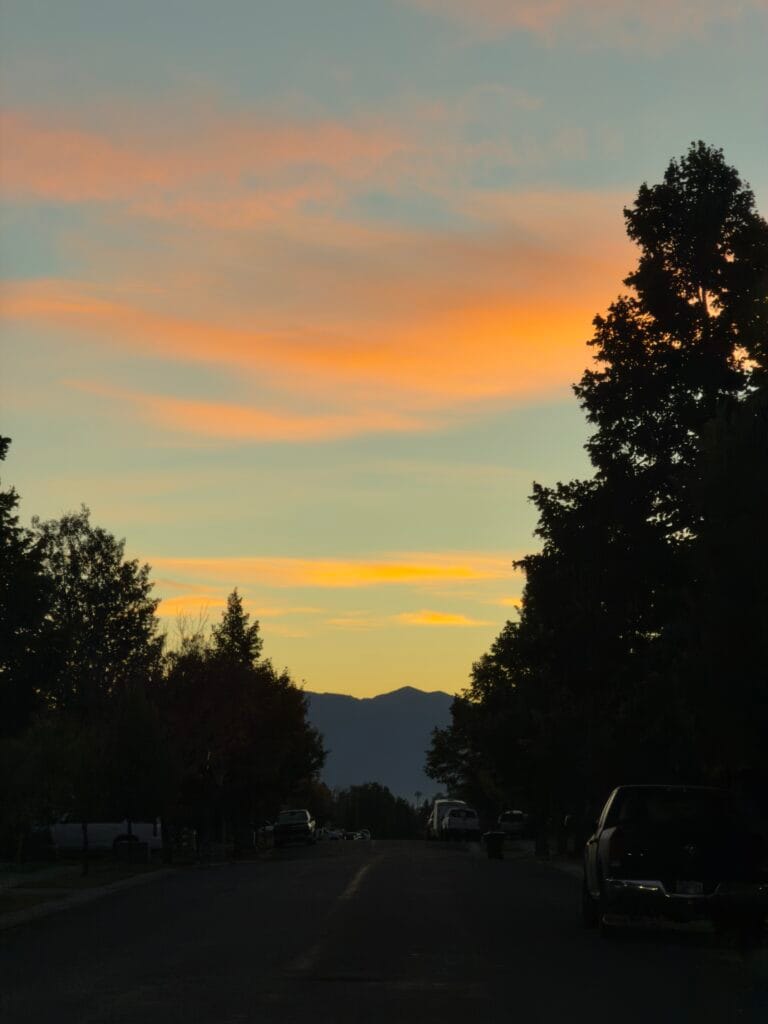 iPhone 17 Pro Max Sample Image - 2