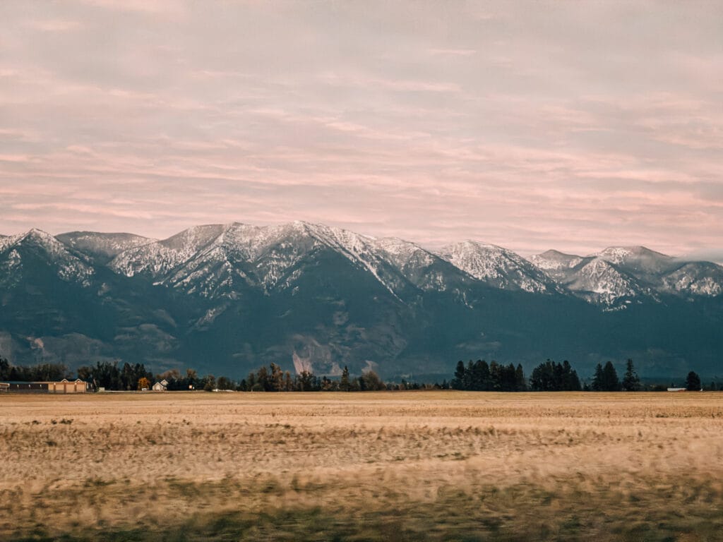 iPhone 17 Pro Max Sample Image - 3