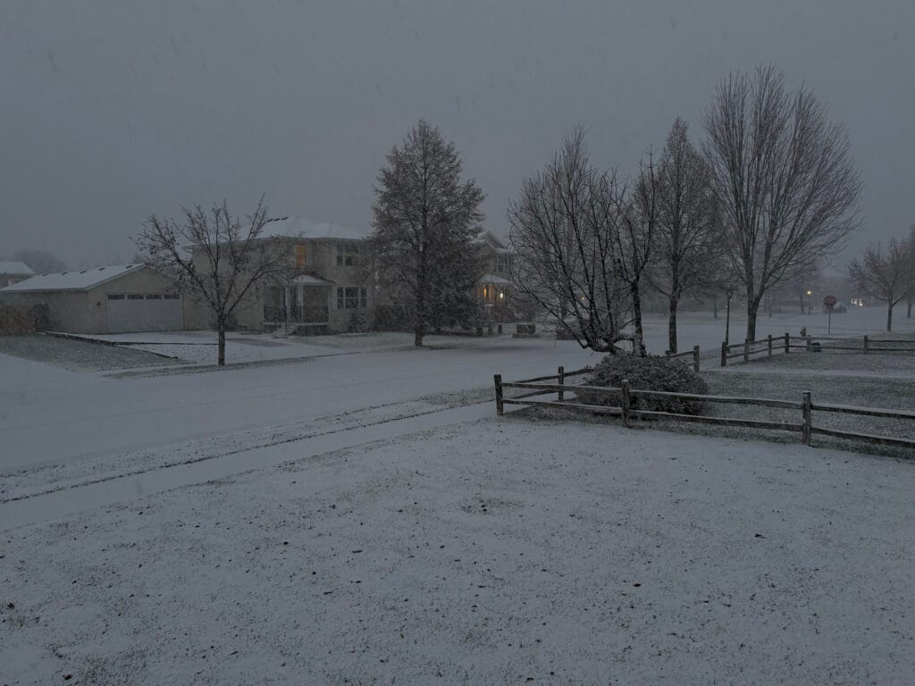 iPhone 17 Pro Max Sample Image - 6