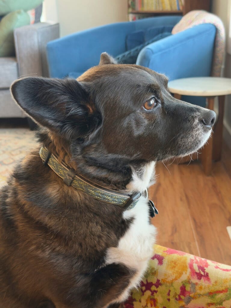 iPhone 17 Pro Max Sample Image - 8