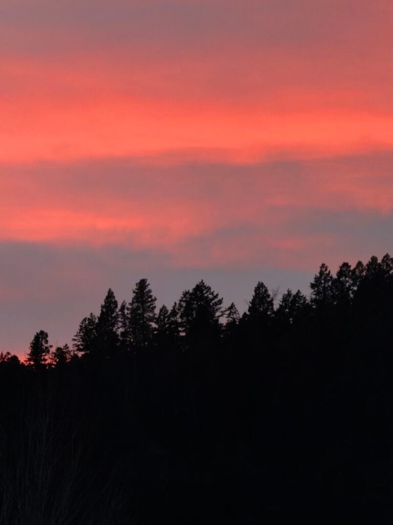 iPhone 17 Pro Max Sample Image 9