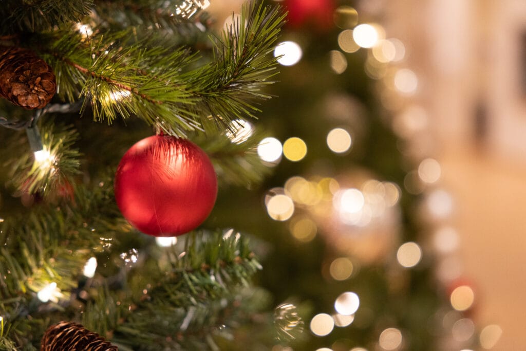 Canon R6 III Sample Image