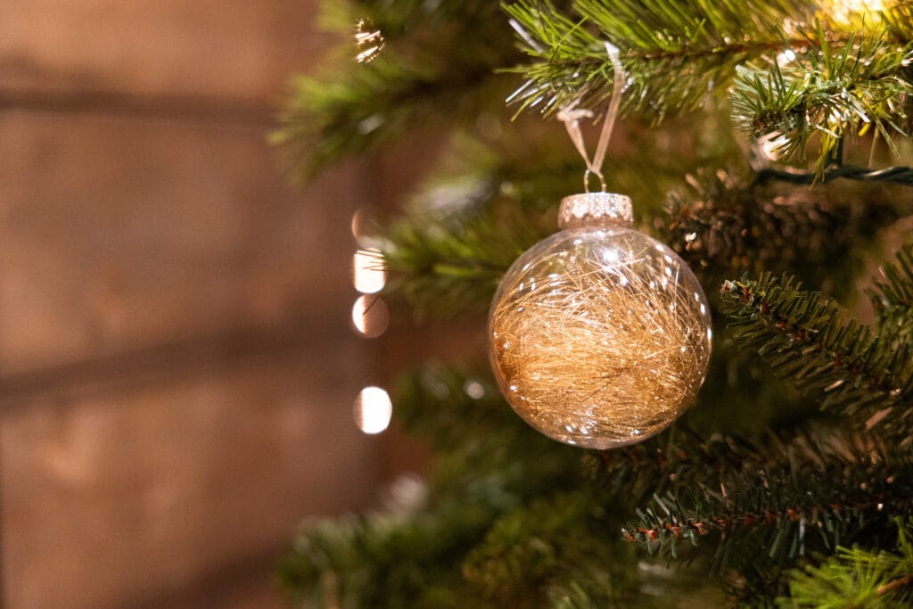 Canon R6 III Sample Image