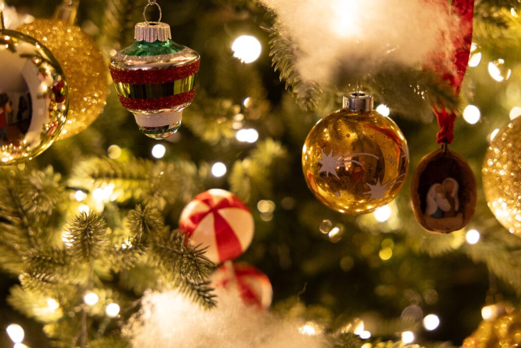 Canon R6 III Sample Image