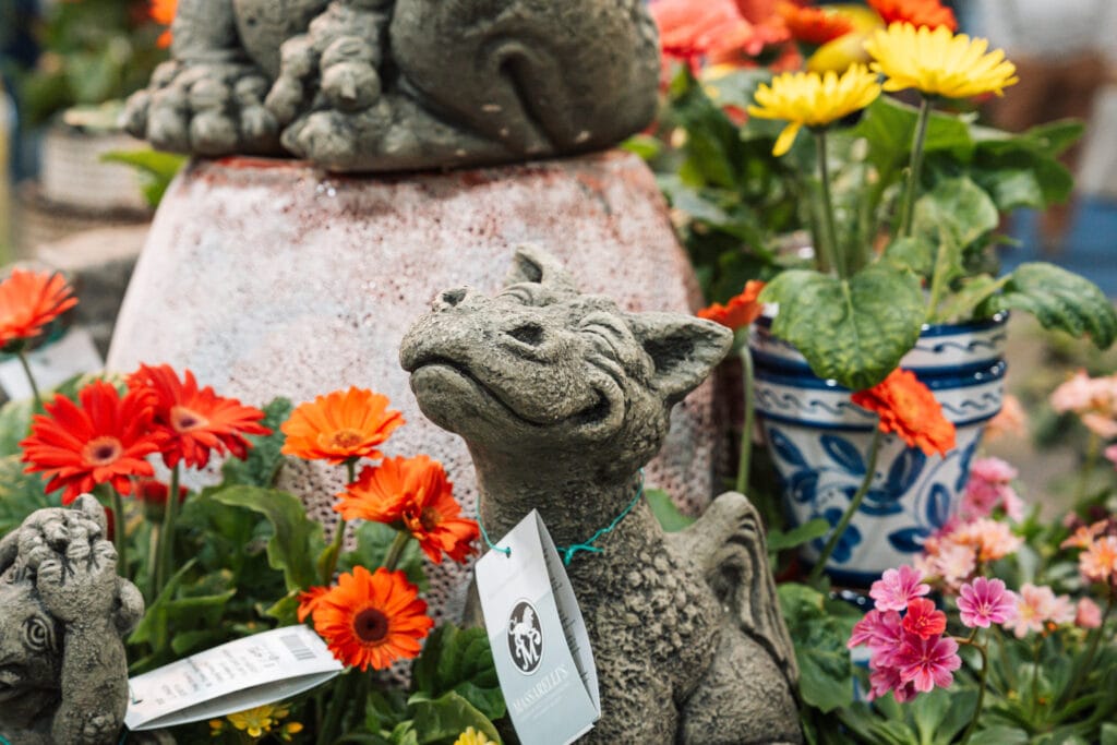 Sony a7 V Sample Image Gallery 3 Sony a7V Sample Image - 6