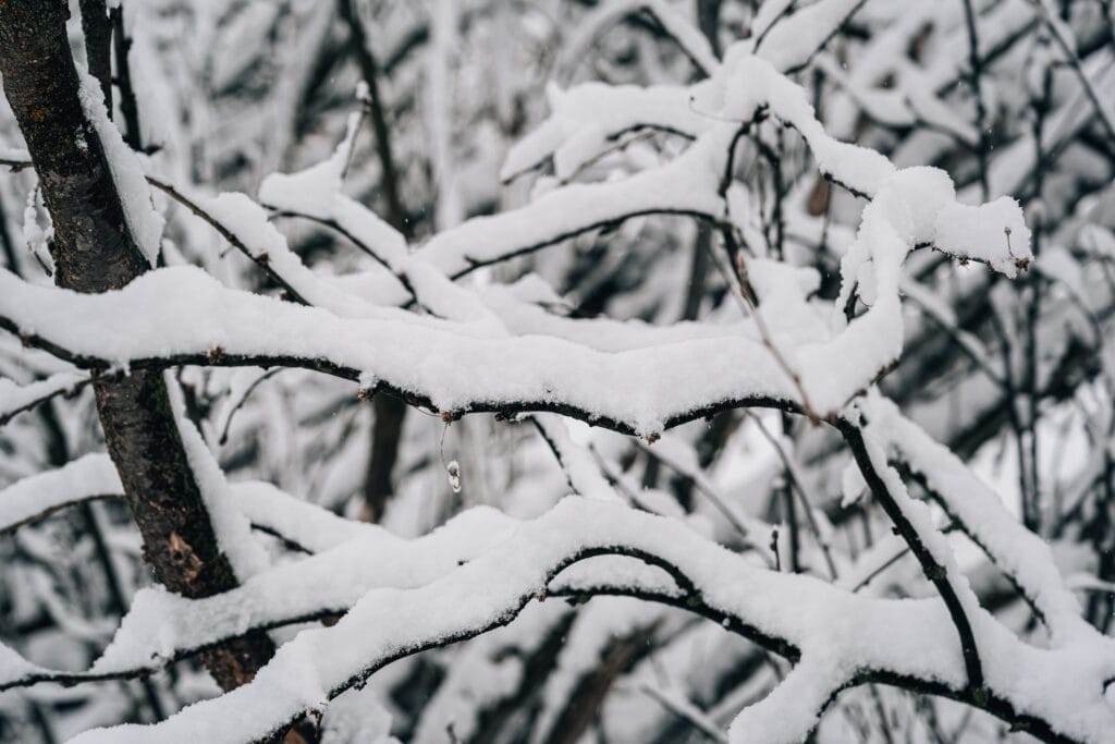 Sony a7 V Sample Image Gallery 2 Sony a7V Sample Image - 7