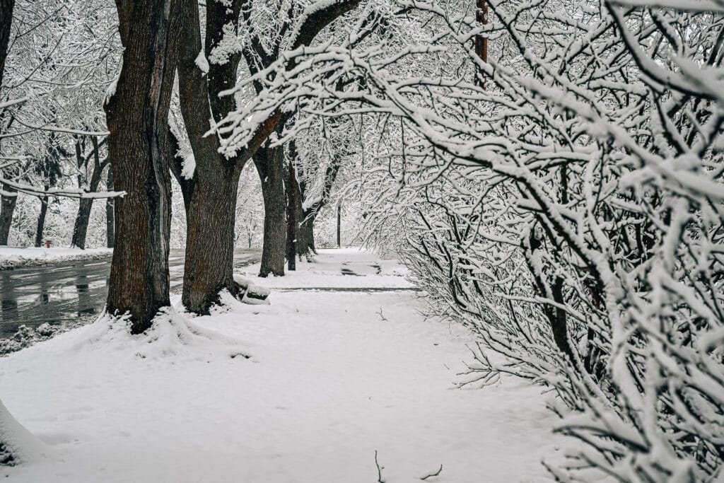 Nikon Z6III + NIKKOR 24-70mm f/2.8 II