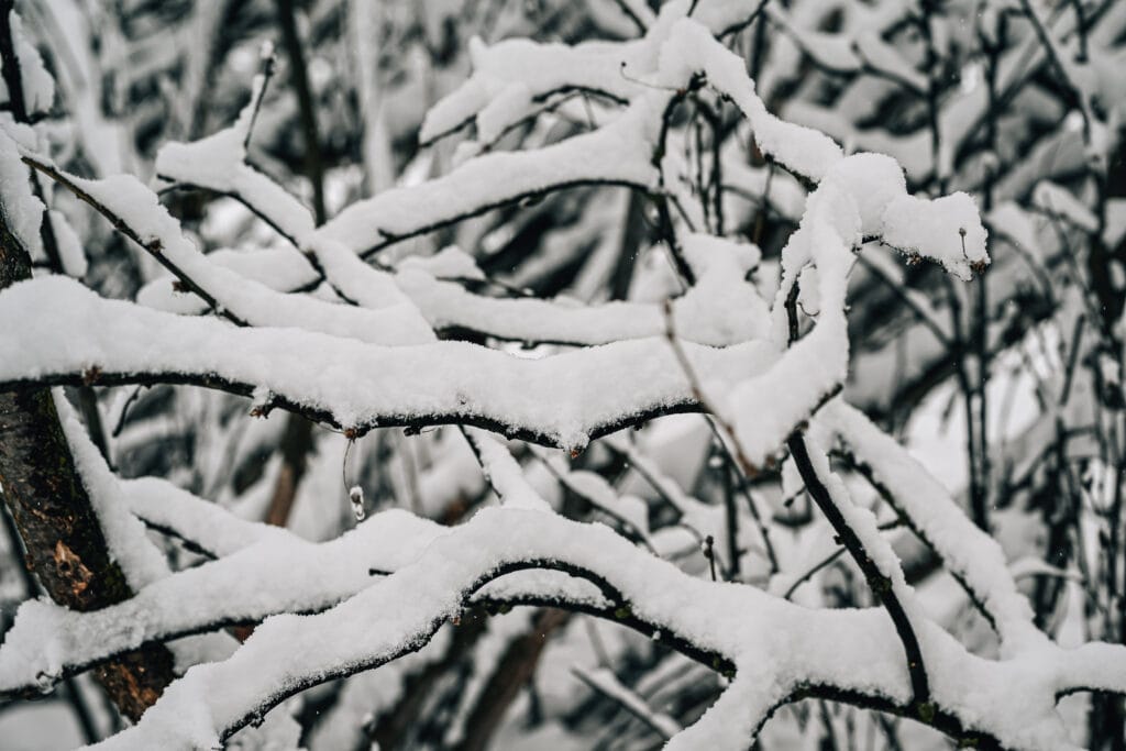 Nikon Z6III + NIKKOR 24-70mm f/2.8 II