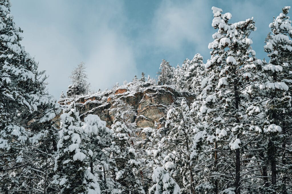 Nikon Z6III + NIKKOR 24-70mm f/2.8 II