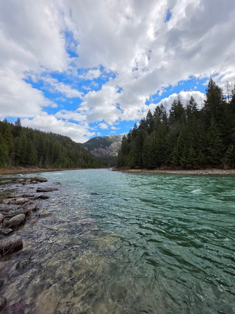 Galaxy S26 Ultra GNP 3