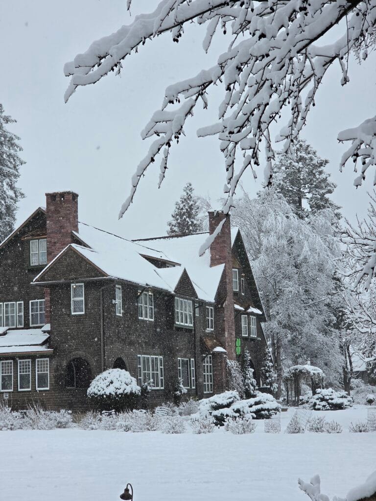 Galaxy S26 Ultra Sample Image SOOC 1