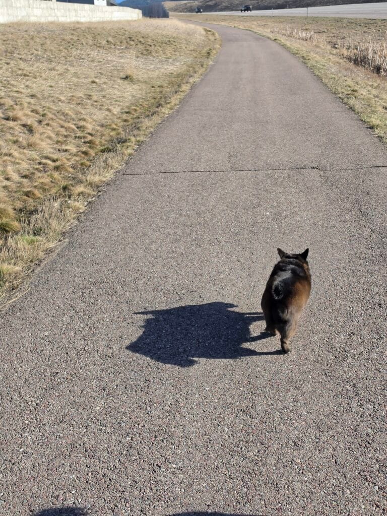 Galaxy S26 Ultra Sample Image SOOC 10