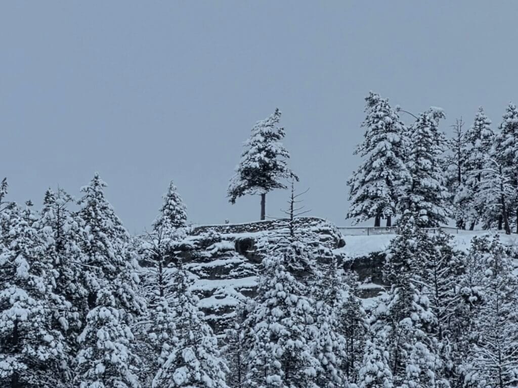 Galaxy S26 Ultra Sample Image SOOC 10x