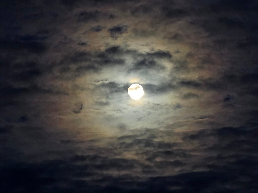 Galaxy S26 Ultra Sample Image SOOC 11