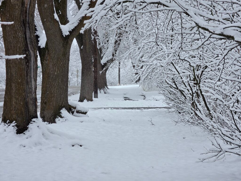 Galaxy S26 Ultra Sample Image SOOC 2