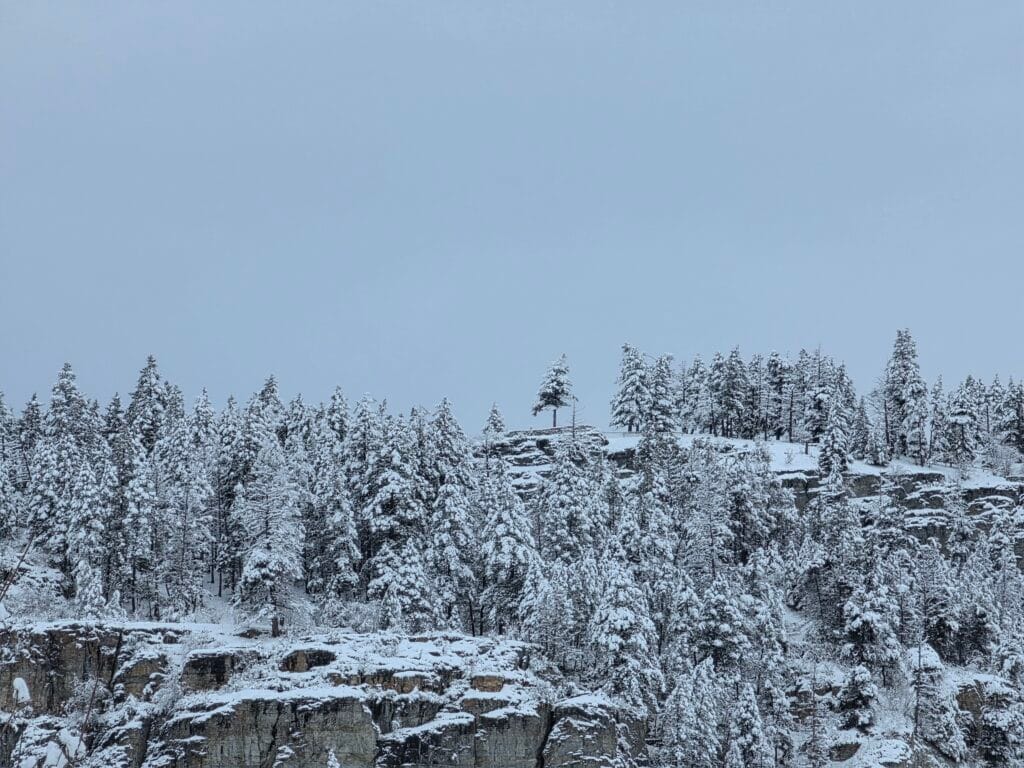 Galaxy S26 Ultra Sample Image SOOC 2x