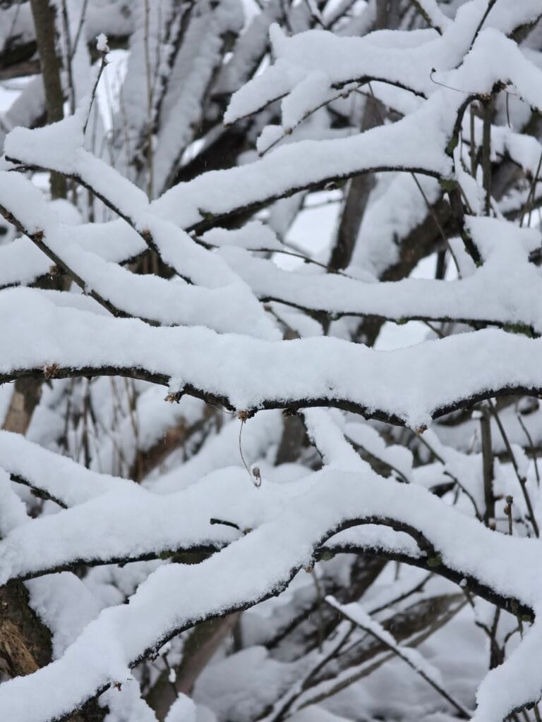 Galaxy S26 Ultra Sample Image SOOC 3