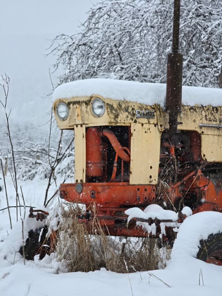 Galaxy S26 Ultra Sample Image SOOC 4