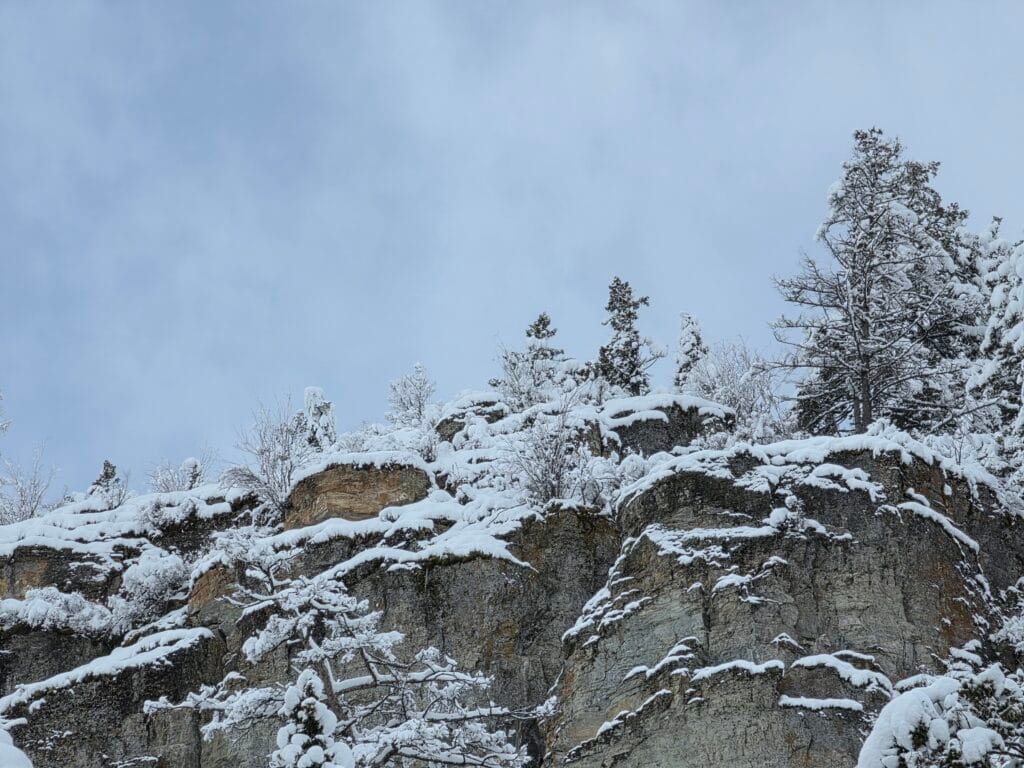 Galaxy S26 Ultra Sample Image SOOC 7