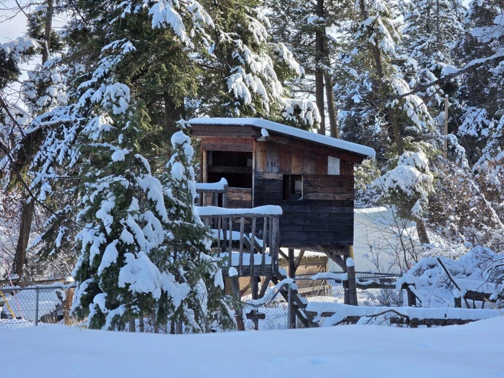 Galaxy S26 Ultra Sample Image SOOC 8