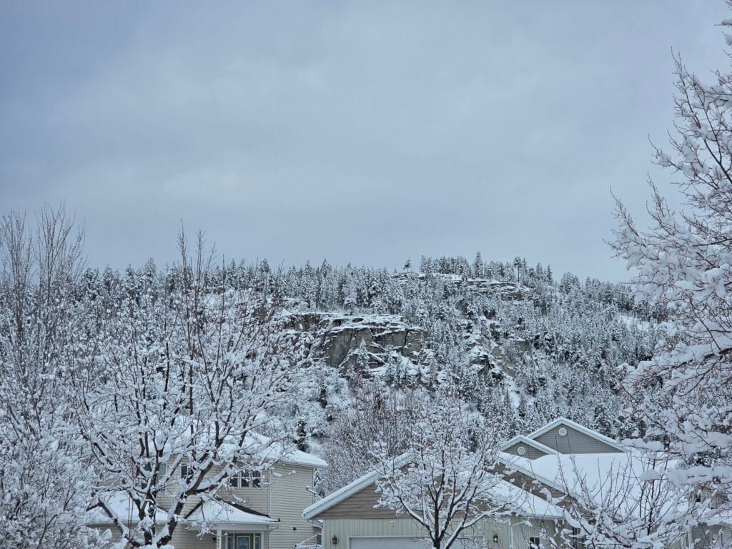 Galaxy S26 Ultra Sample Image SOOC Ultrawide