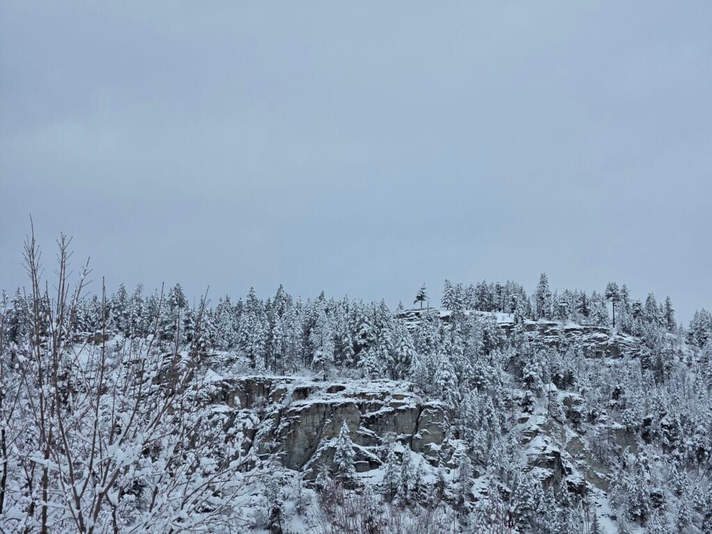 Galaxy S26 Ultra Sample Image SOOC Wide