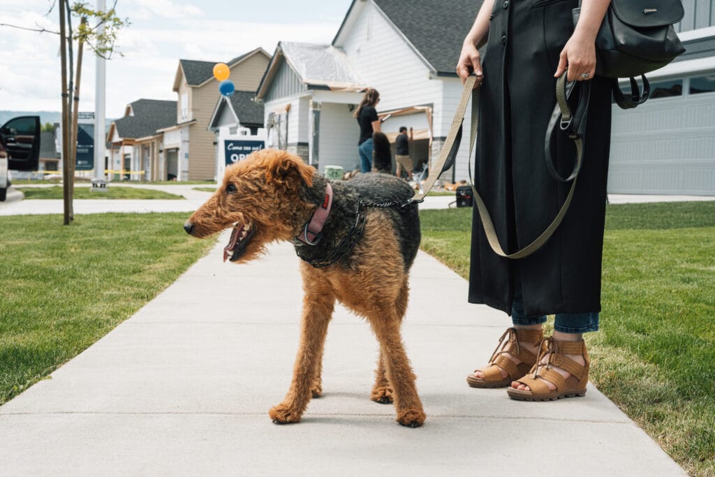 Sony a7R VI Sample Image - 4