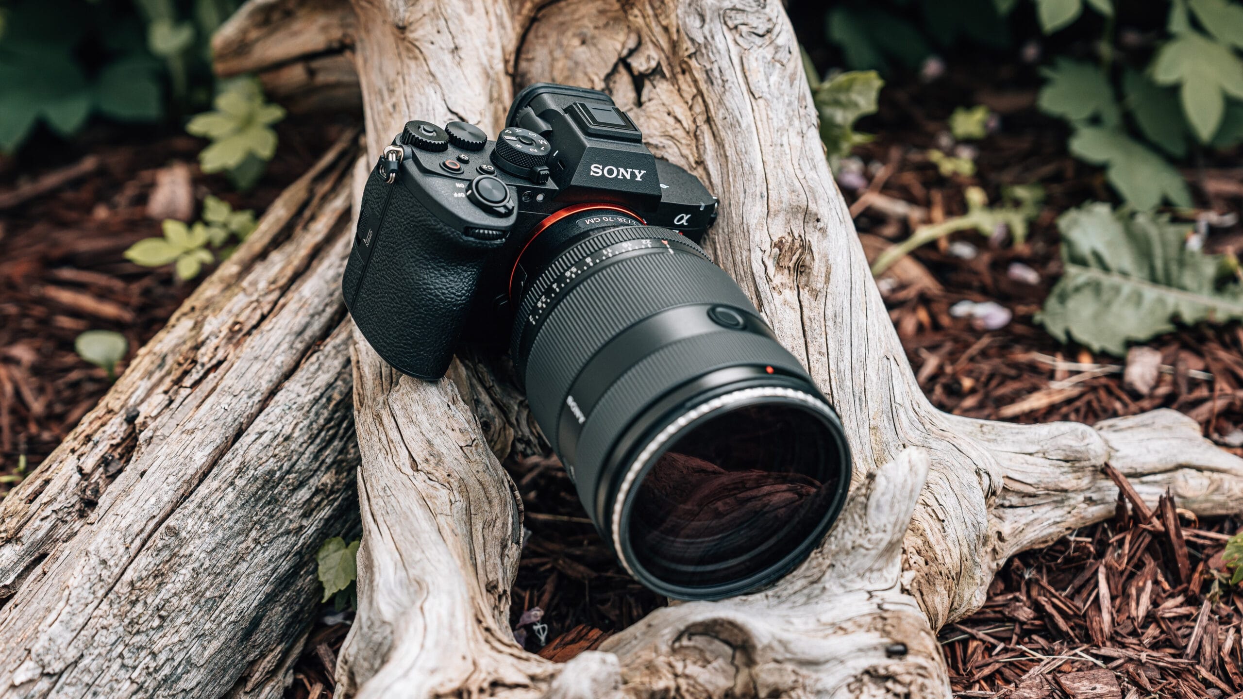 Sony a7R VI