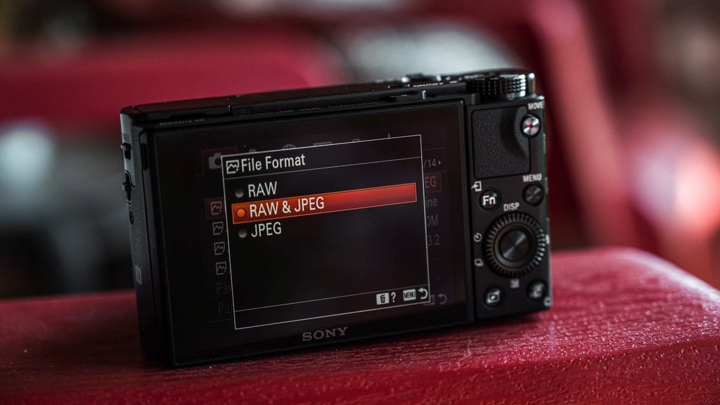 Sony RX100 VII Setup Guide: The 12 Settings I Change First 2 Sony RX100 VII File Format set to RAW and JPEG