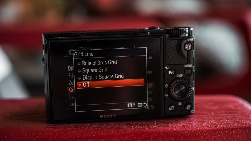 Sony RX100 VII Setup Guide: The 12 Settings I Change First 11 Sony RX100 VII Grid Line options